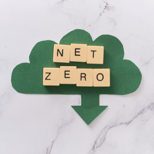 Our journey to net-zero 
