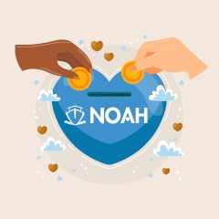 NOAH Enterprise Foxley Kingham charity partner